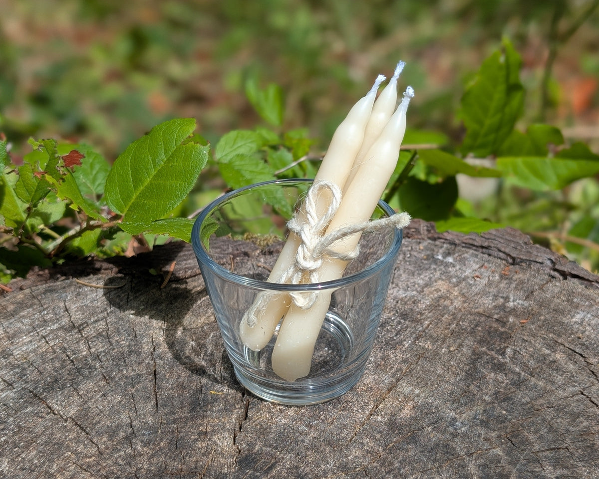 Hand Dipped Soy and Tallow Moment Candles (3 Pack) Bundle