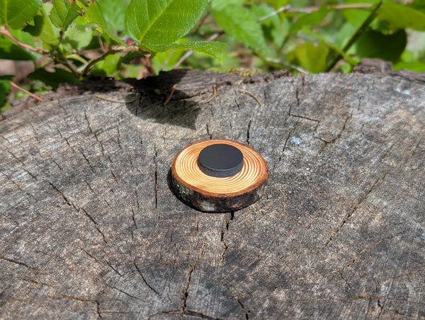 Hand Burned Moon and Mountain Wooden Magnet
