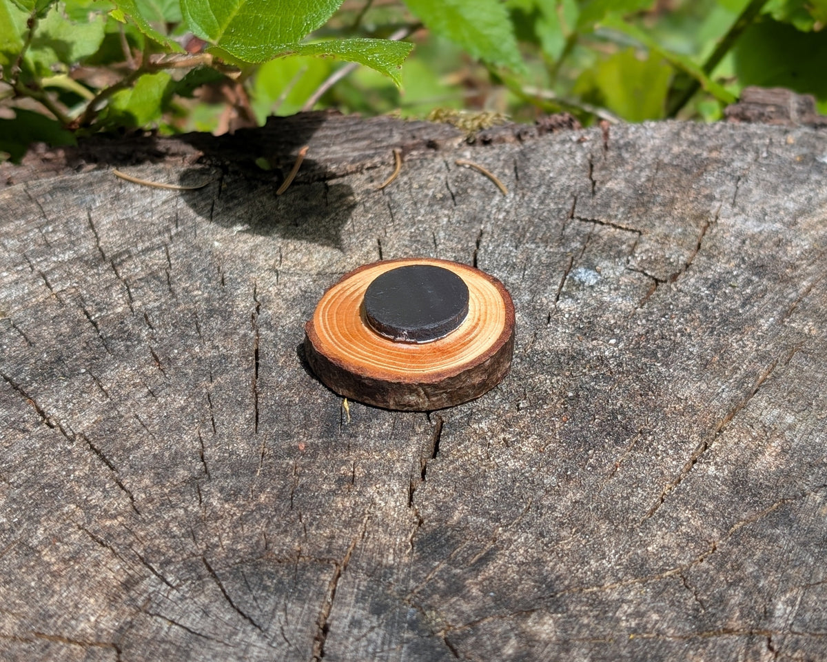 Hand Burned Moon and Mountain Wooden Magnet