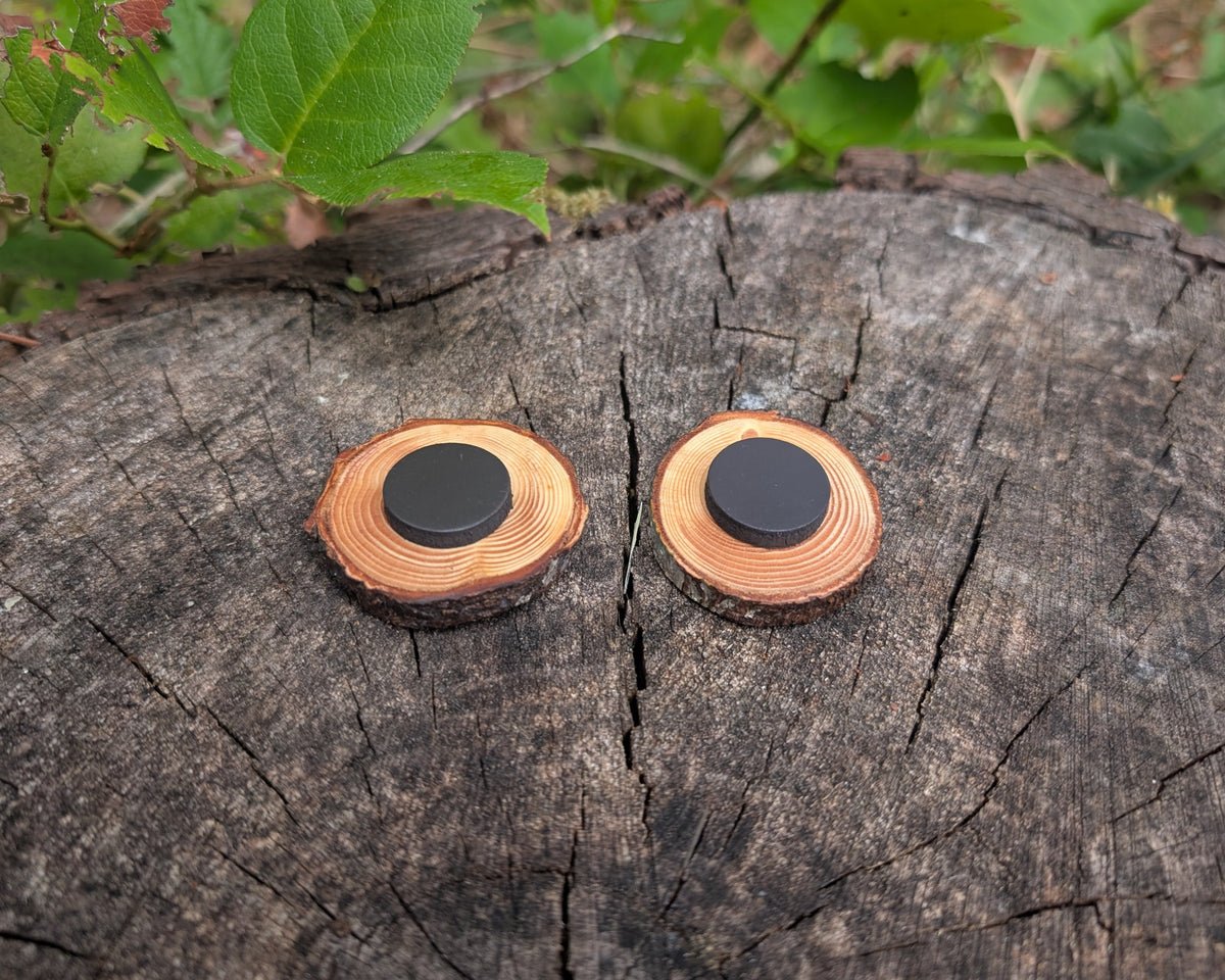 Hand Burned Sun and Moon Wooden Magnet Bundle