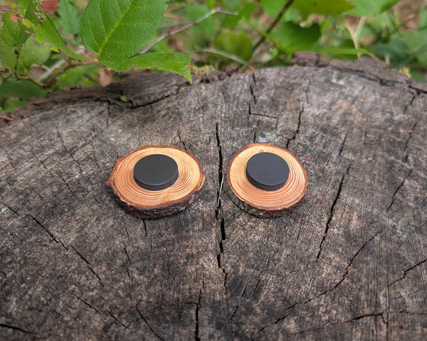 Hand Burned Sun and Moon Wooden Magnet Bundle