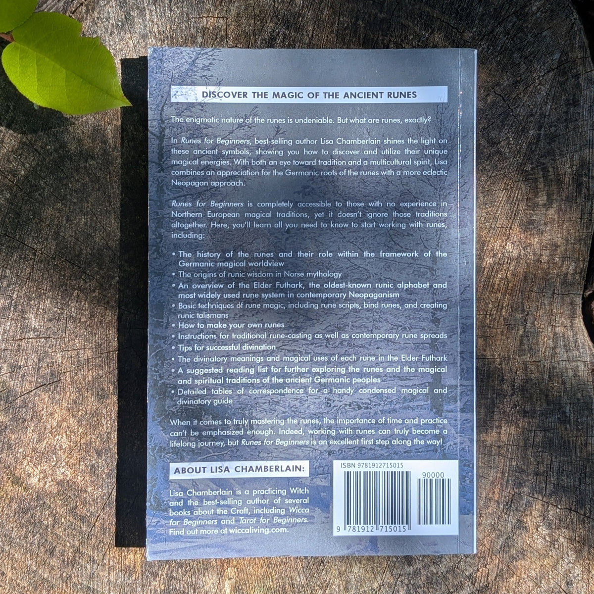 Runes for Beginners: A Guide to Reading Runes in Divination, Rune Magic, and the Meaning of the Elder Futhark Runes (Divination for Beginners Series) by Lisa Chamberlain