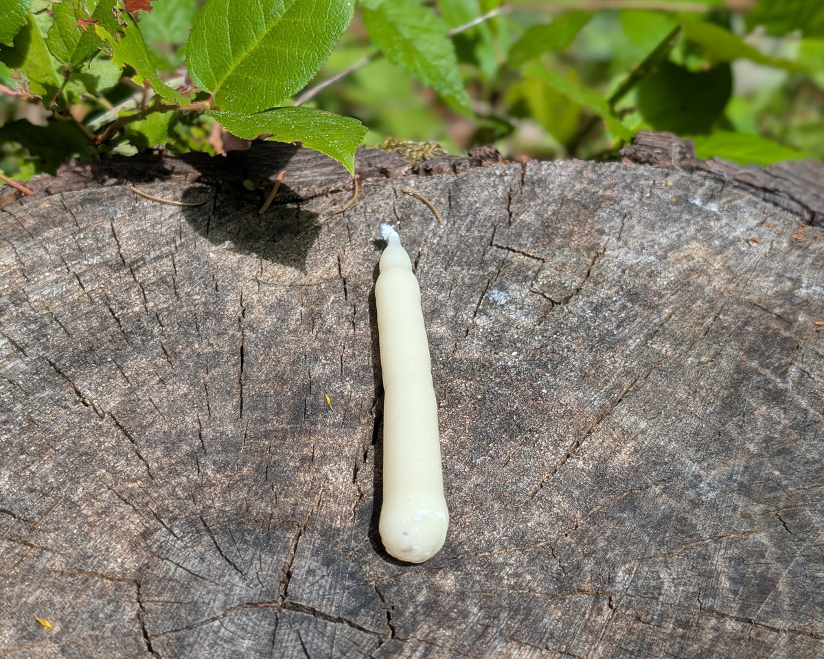 Single Hand Dipped Soy and Tallow Moment Candle