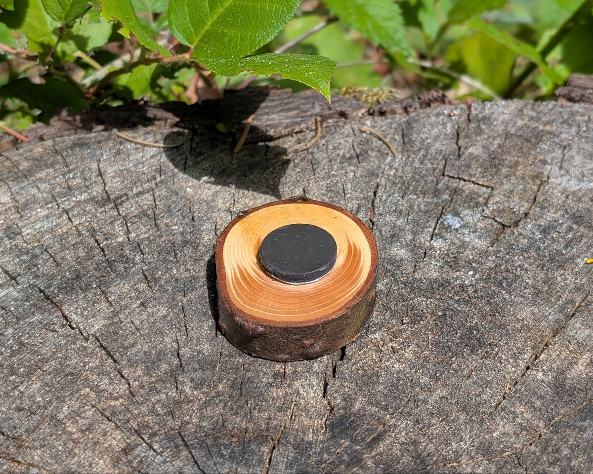 Hand Burned Sun Spiral Wooden Magnet
