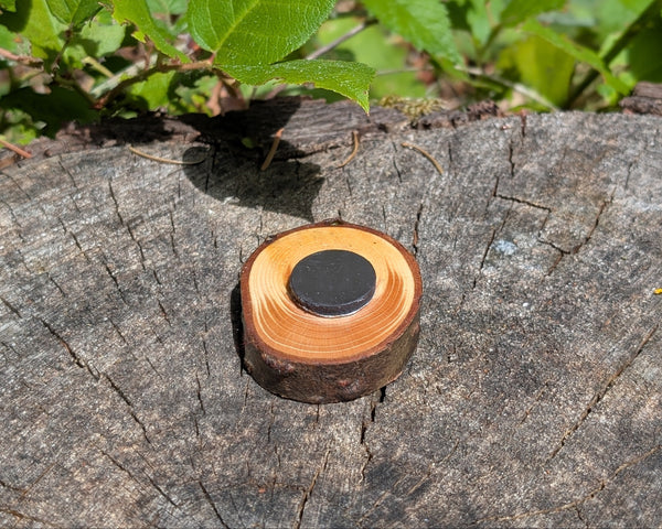 Hand Burned Sun Spiral Wooden Magnet