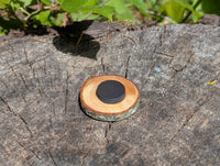 Hand Burned Sun Spiral Wooden Magnet