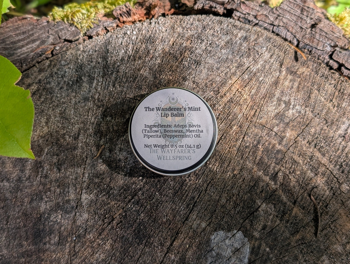 The Wanderer's Mint Lip Balm